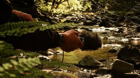 Nature Sounds cover 12